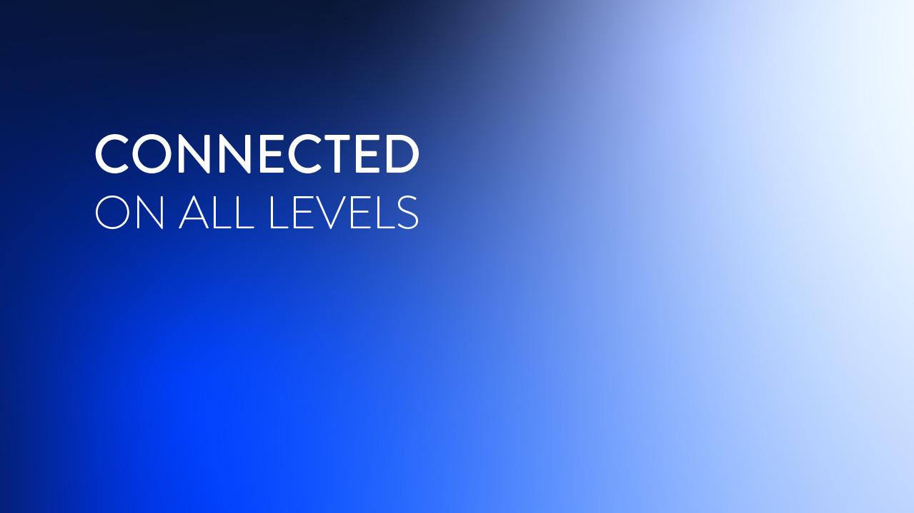 Picture with the words connected on all levels. 
