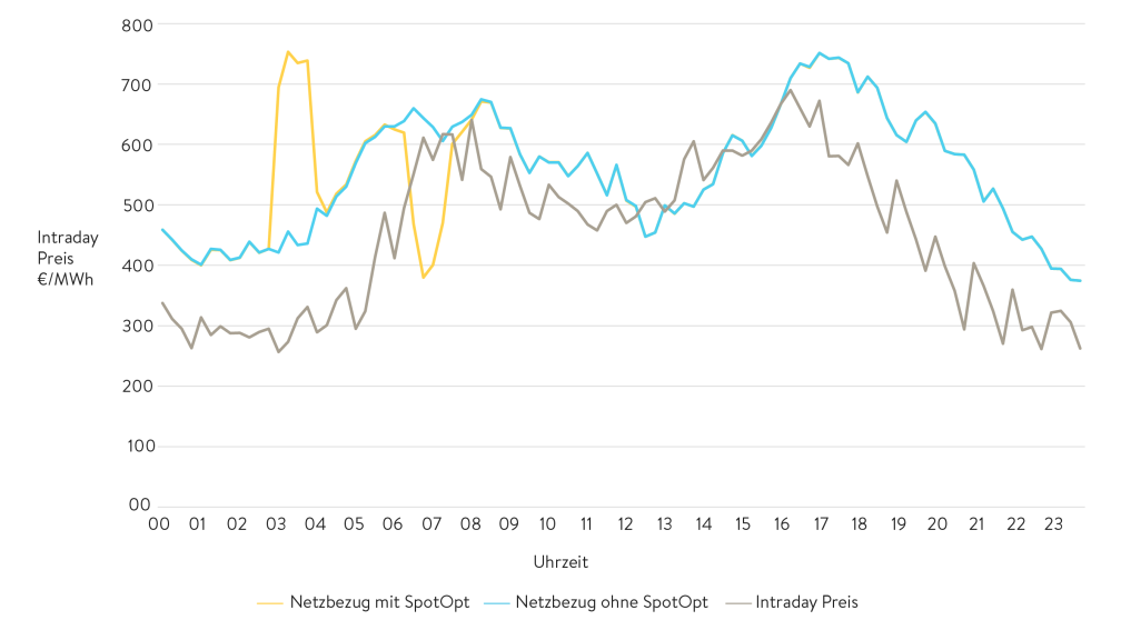 Beispielhafte Preisentwicklung im Laufe eines Tages im Dezember 2022, inkl. Darstellung verschiedener Varianten f&uuml;r den Netzbezug von Strom