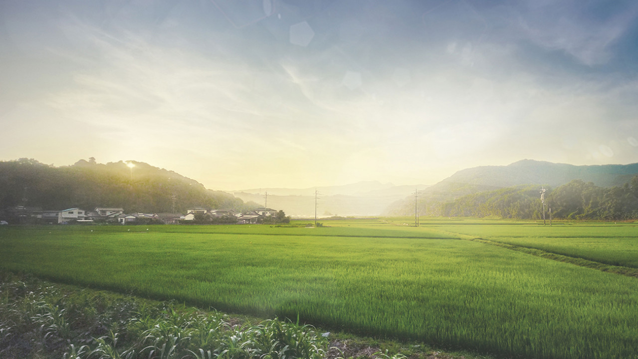 Sonnenaufgang auf einem Feld mit Bergen und kleinen Häusern im Hintergrund.