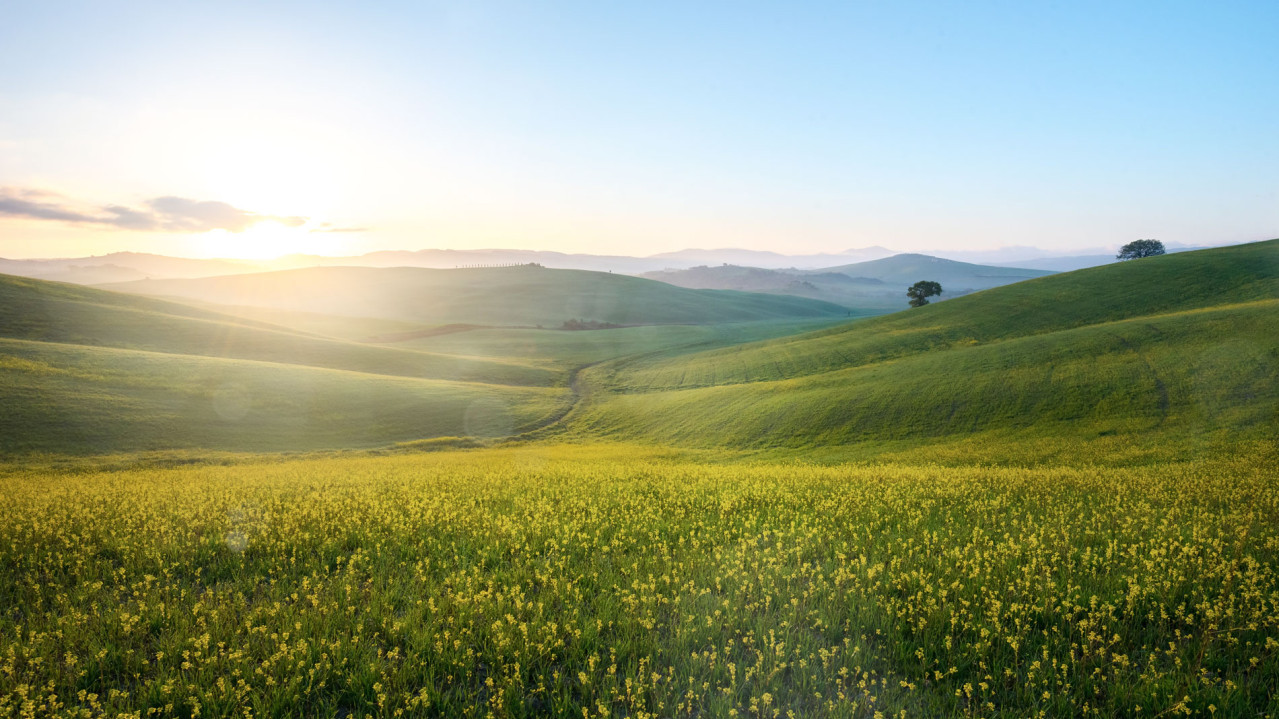 Colline Toscane